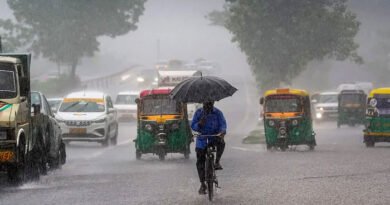 Rain Alert