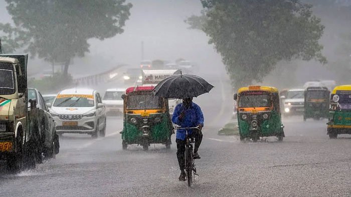 Rain Alert