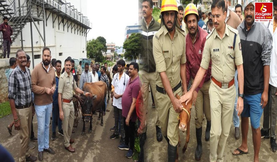 Sampal Image New 20261009T122746832 Sampoorna News